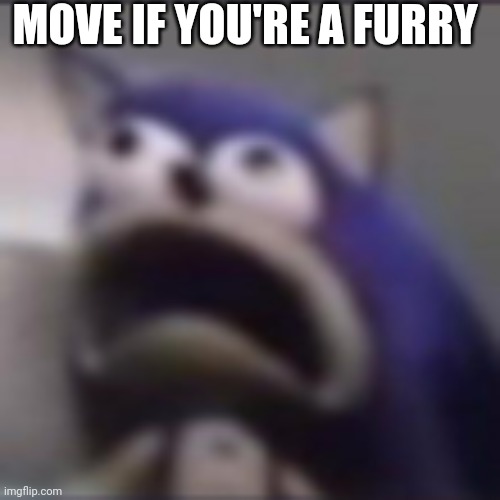 distress | MOVE IF YOU'RE A FURRY | image tagged in distress,furry | made w/ Imgflip meme maker