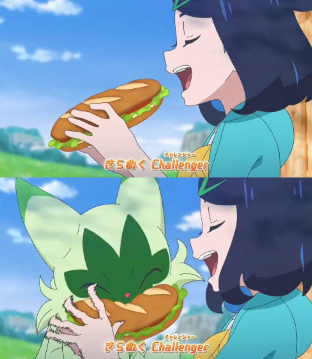 Floragato steal Liko's sandwich Blank Meme Template