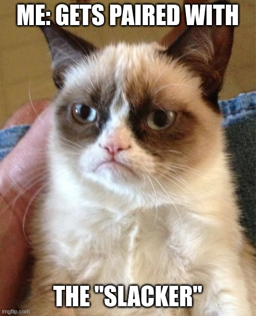 ME: GETS PAIRED WITH THE "SLACKER" | image tagged in memes,grumpy cat | made w/ Imgflip meme maker
