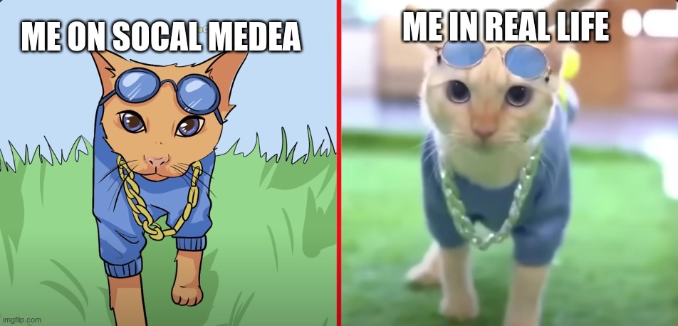 ME IN REAL LIFE; ME ON SOCAL MEDEA | made w/ Imgflip meme maker