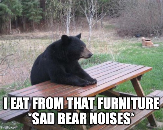 Bad Luck Bear | I EAT FROM THAT FURNITURE
*SAD BEAR NOISES* | image tagged in memes,bad luck bear | made w/ Imgflip meme maker