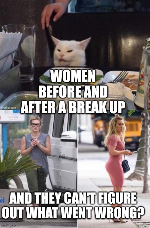 WOMEN BEFORE AND AFTER A BREAK UP; AND THEY CAN'T FIGURE OUT WHAT WENT WRONG? | image tagged in smudge that darn cat | made w/ Imgflip meme maker