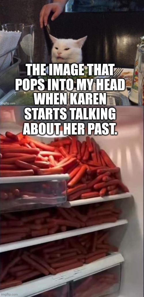 THE IMAGE THAT POPS INTO MY HEAD; WHEN KAREN STARTS TALKING ABOUT HER PAST. | image tagged in smudge that darn cat | made w/ Imgflip meme maker