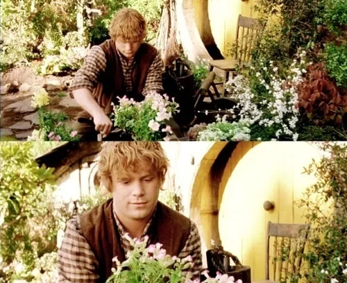 Samwise Gamgee in the garden Blank Meme Template