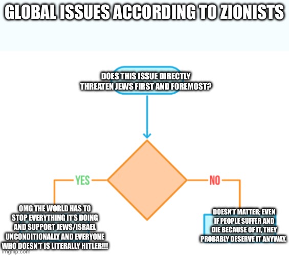 Flowchart blank | GLOBAL ISSUES ACCORDING TO ZIONISTS; DOES THIS ISSUE DIRECTLY THREATEN JEWS FIRST AND FOREMOST? OMG THE WORLD HAS TO STOP EVERYTHING IT’S DOING AND SUPPORT JEWS/ISRAEL UNCONDITIONALLY AND EVERYONE WHO DOESN’T IS LITERALLY HITLER!!! DOESN’T MATTER; EVEN IF PEOPLE SUFFER AND DIE BECAUSE OF IT, THEY PROBABLY DESERVE IT ANYWAY. | image tagged in flowchart blank | made w/ Imgflip meme maker