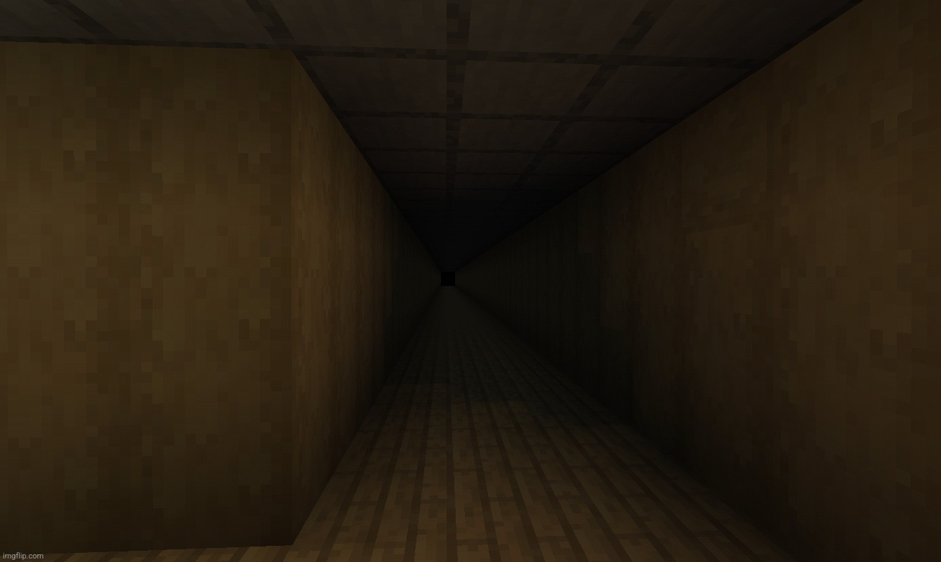 ir wiki voted for me to go down the dark spooky tunnel but there's no way in hell I will | made w/ Imgflip meme maker