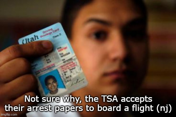 Not sure why, the TSA accepts their arrest papers to board a flight (nj) | made w/ Imgflip meme maker
