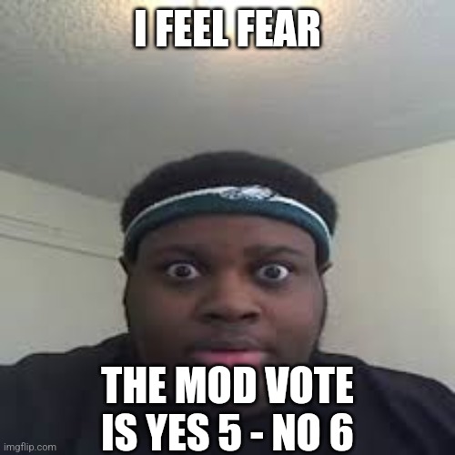 Real | I FEEL FEAR; THE MOD VOTE IS YES 5 - NO 6 | image tagged in edp | made w/ Imgflip meme maker