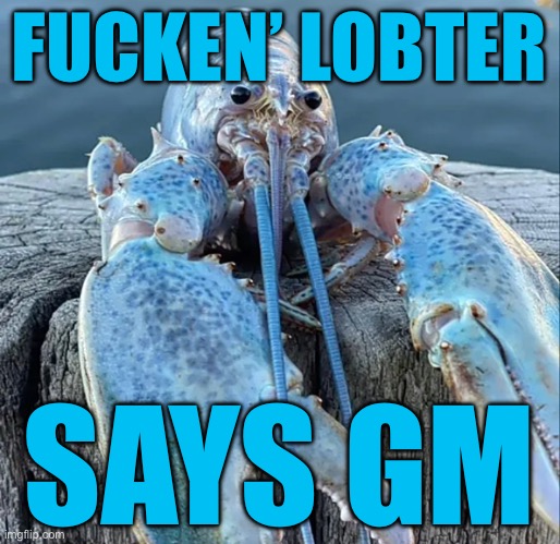 The Blue Lobster | FUCKEN’ LOBTER SAYS GM | image tagged in the blue lobster | made w/ Imgflip meme maker