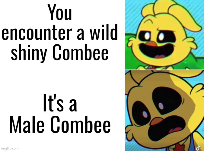 Noooooo! | You encounter a wild shiny Combee; It's a Male Combee | image tagged in combee,shiny,funny,male | made w/ Imgflip meme maker