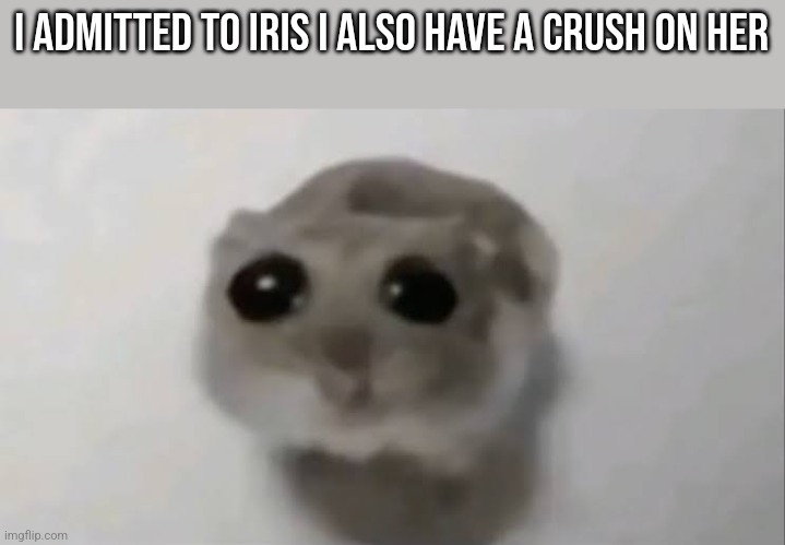 ....hsjyshsisjshh | I admitted to Iris I also have a crush on her | image tagged in sad hamster | made w/ Imgflip meme maker