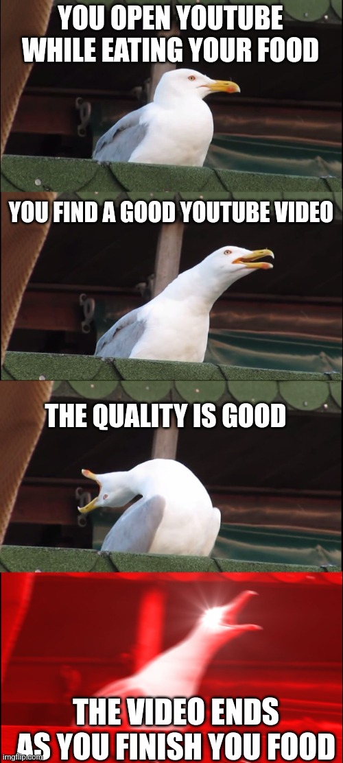 Inhaling Seagull | YOU OPEN YOUTUBE WHILE EATING YOUR FOOD; YOU FIND A GOOD YOUTUBE VIDEO; THE QUALITY IS GOOD; THE VIDEO ENDS AS YOU FINISH YOU FOOD | image tagged in memes,inhaling seagull | made w/ Imgflip meme maker