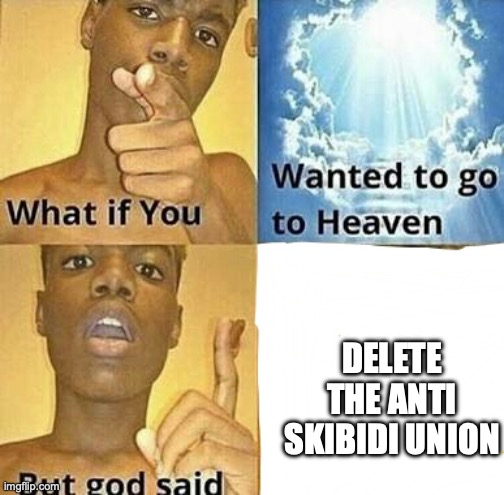 the owner of the anti skibidi union when he/she/they go to heaven | DELETE THE ANTI SKIBIDI UNION | image tagged in what if you wanted to go to heaven | made w/ Imgflip meme maker