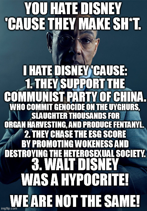 Why you hate disney, why I hate dizney... "Scr*w you, mickey rat b*tch!" | YOU HATE DISNEY 'CAUSE THEY MAKE SH*T. I HATE DISNEY 'CAUSE: 1. THEY SUPPORT THE COMMUNIST PARTY OF CHINA. WHO COMMIT GENOCIDE ON THE UYGHURS,
 SLAUGHTER THOUSANDS FOR ORGAN HARVESTING, AND PRODUCE FENTANYL. 2. THEY CHASE THE ESG SCORE BY PROMOTING WOKENESS AND DESTROYING THE HETEROSEXUAL SOCIETY. 3. WALT DISNEY WAS A HYPOCRITE! WE ARE NOT THE SAME! | image tagged in gus fring we are not the same,disney,china,walt disney,woke,memes | made w/ Imgflip meme maker