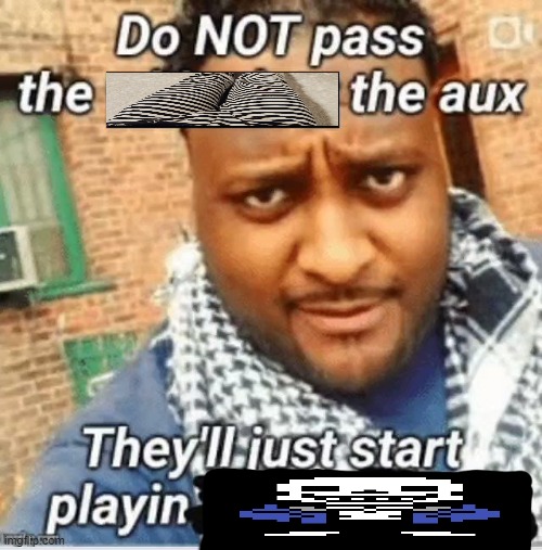 Do not pass the X the aux They’ll just start playin Y | image tagged in do not pass the x the aux they ll just start playin y | made w/ Imgflip meme maker