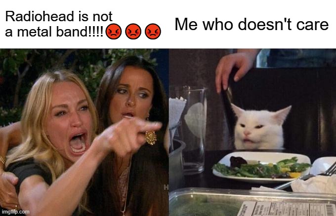 Woman Yelling At Cat | Radiohead is not a metal band!!!!😡😡😡; Me who doesn't care | image tagged in memes,woman yelling at cat | made w/ Imgflip meme maker