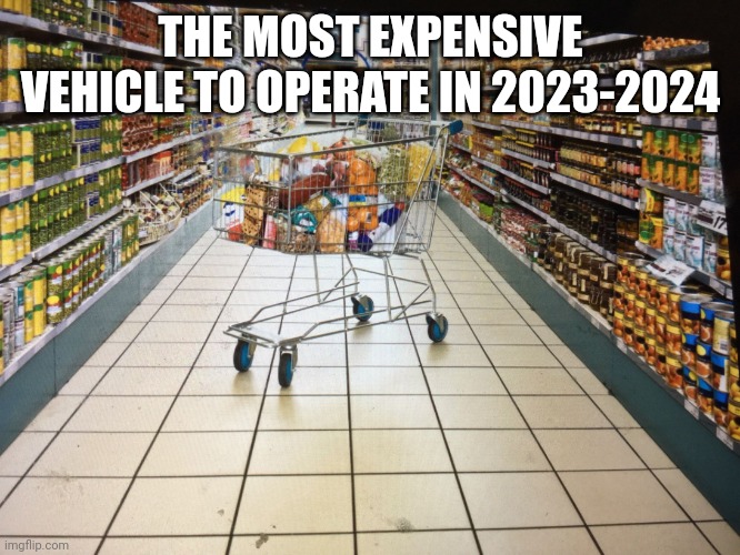 Grocery cart in aisle | THE MOST EXPENSIVE VEHICLE TO OPERATE IN 2023-2024 | image tagged in grocery cart in aisle | made w/ Imgflip meme maker