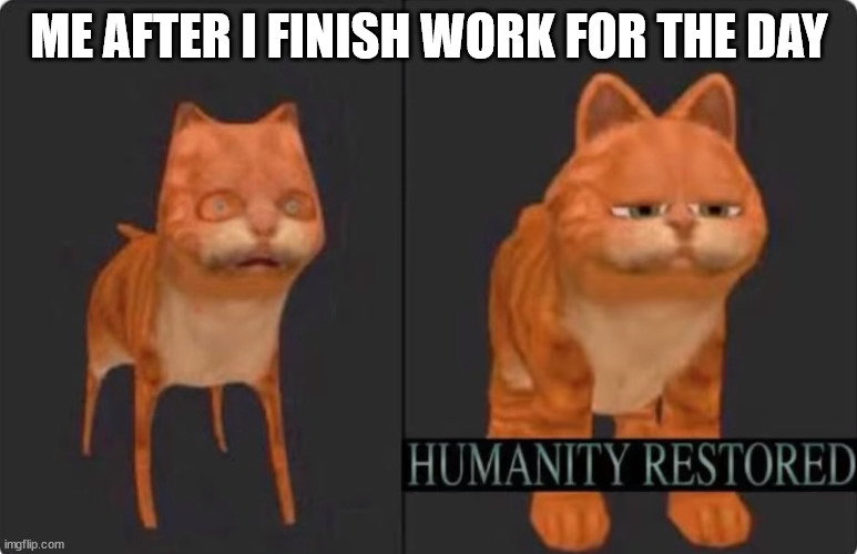 hvac sucks | ME AFTER I FINISH WORK FOR THE DAY | image tagged in humanity restored | made w/ Imgflip meme maker