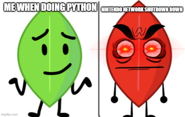 buy pretendo network | NINTENDO NETWORK SHUTDOWN DOWN; ME WHEN DOING PYTHON | image tagged in leafy vs evil leafy | made w/ Imgflip meme maker