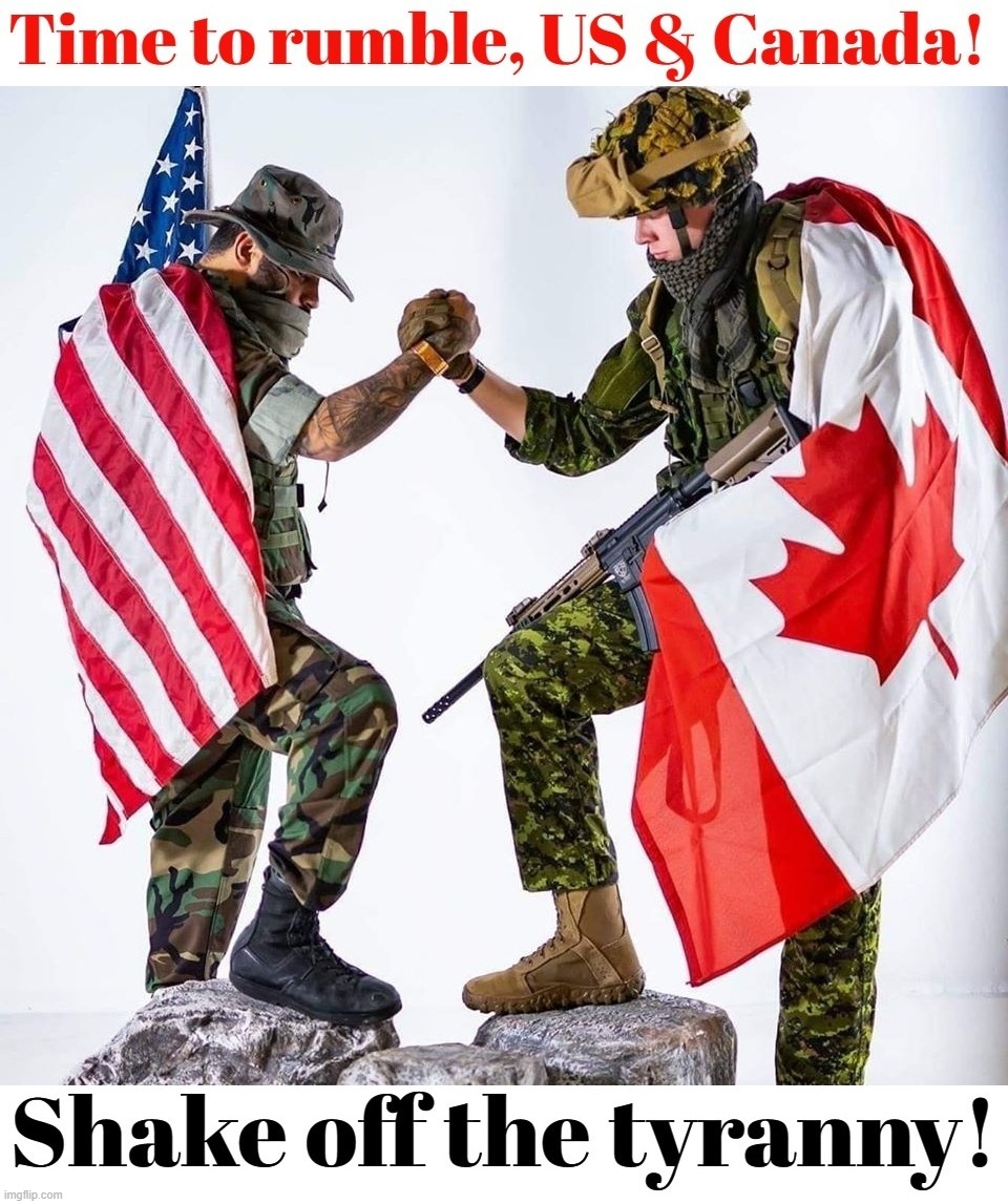 Time to rumble, US & Canada! | image tagged in united states,canada,tyranny,sic semper tyrannis,rumble,si vis pacem para bellum | made w/ Imgflip meme maker