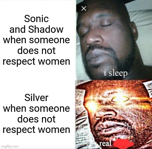 if you know, you know. | Sonic and Shadow when someone does not respect women; Silver when someone does not respect women | image tagged in memes,sleeping shaq,respect women,sonic the hedgehog,shadow the hedgehog,silver the hedgehog | made w/ Imgflip meme maker