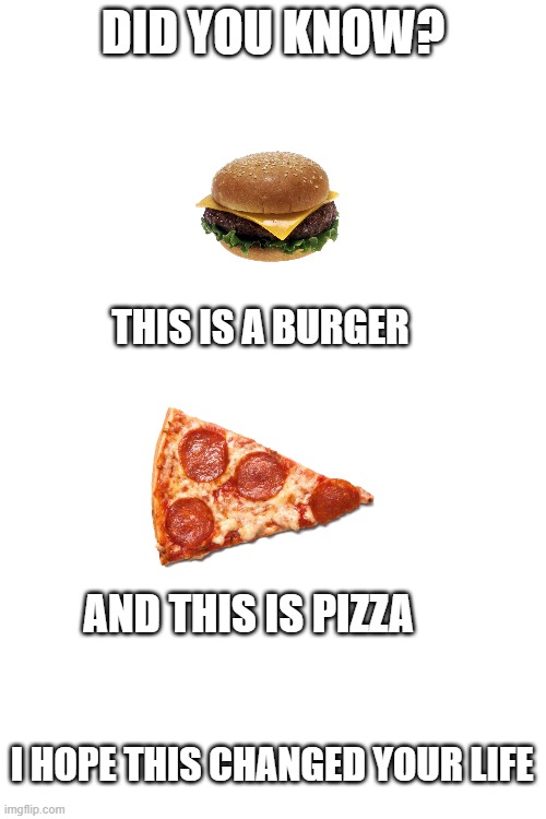 DID YOU KNOW? THIS IS A BURGER; AND THIS IS PIZZA; I HOPE THIS CHANGED YOUR LIFE | made w/ Imgflip meme maker