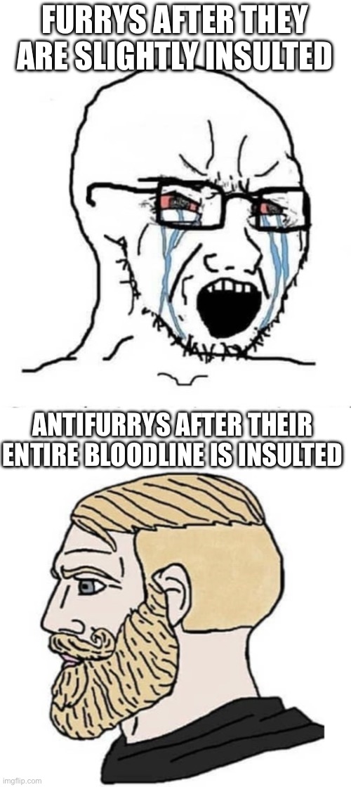 Furrys be like: “Noo I got slightly insulted” | FURRYS AFTER THEY ARE SLIGHTLY INSULTED; ANTIFURRYS AFTER THEIR ENTIRE BLOODLINE IS INSULTED | image tagged in nooo soyboy,gigachad,anti furry | made w/ Imgflip meme maker