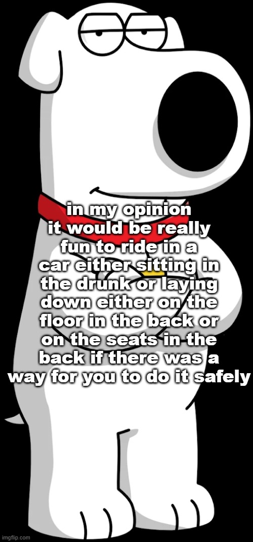 BRIAN GRIFFIN | in my opinion it would be really fun to ride in a car either sitting in the drunk or laying down either on the floor in the back or on the seats in the back if there was a way for you to do it safely | image tagged in brian griffin | made w/ Imgflip meme maker