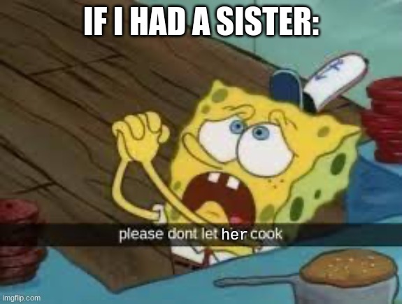 please don’t let him cook | IF I HAD A SISTER: her | image tagged in please don t let him cook | made w/ Imgflip meme maker