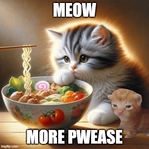 more | MEOW; MORE PWEASE | made w/ Imgflip meme maker