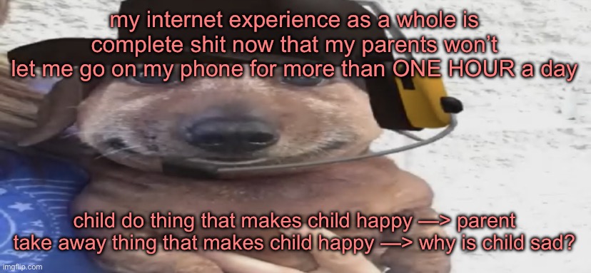 chucklenuts | my internet experience as a whole is complete shit now that my parents won’t let me go on my phone for more than ONE HOUR a day; child do thing that makes child happy —> parent take away thing that makes child happy —> why is child sad? | image tagged in chucklenuts | made w/ Imgflip meme maker