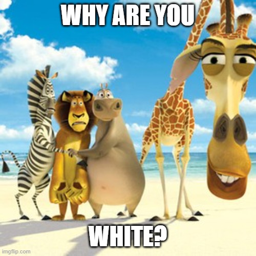 why are you white | WHY ARE YOU; WHITE? | image tagged in why are you white | made w/ Imgflip meme maker