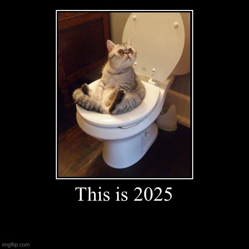 2025 | This is 2025 | | image tagged in funny,demotivationals | made w/ Imgflip demotivational maker