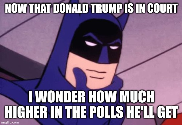 Keep it up Dems, you're doing a great job. | NOW THAT DONALD TRUMP IS IN COURT; I WONDER HOW MUCH HIGHER IN THE POLLS HE'LL GET | image tagged in batman pondering | made w/ Imgflip meme maker