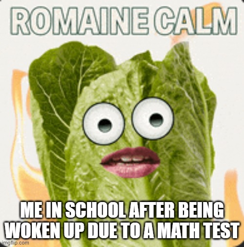 ME IN SCHOOL AFTER BEING WOKEN UP DUE TO A MATH TEST | made w/ Imgflip meme maker