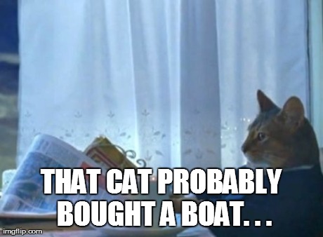 I Should Buy A Boat Cat Meme | THAT CAT PROBABLY BOUGHT A BOAT. . . | image tagged in memes,i should buy a boat cat | made w/ Imgflip meme maker