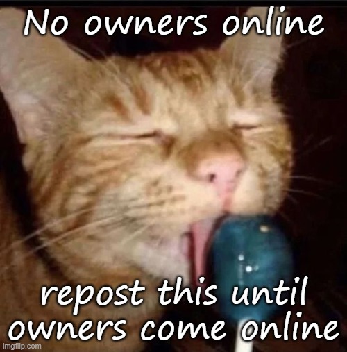 silly goober 2 | No owners online; repost this until owners come online | image tagged in silly goober 2 | made w/ Imgflip meme maker
