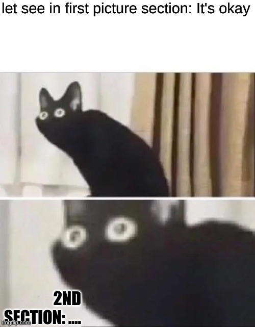 let see in first picture section: It's okay 2ND SECTION: .... | image tagged in oh no black cat | made w/ Imgflip meme maker