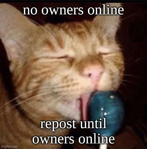 silly goober 2 | no owners online; repost until owners online | image tagged in silly goober 2 | made w/ Imgflip meme maker