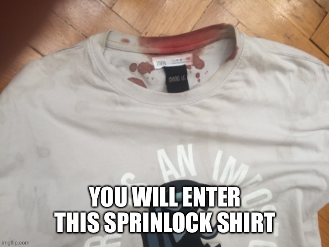 YOU WILL ENTER THIS SPRINLOCK SHIRT | made w/ Imgflip meme maker