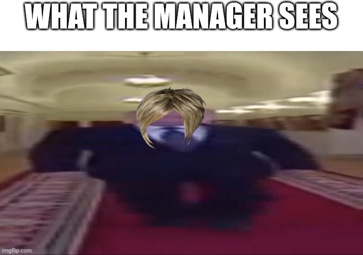 Wide putin | WHAT THE MANAGER SEES | image tagged in wide putin | made w/ Imgflip meme maker