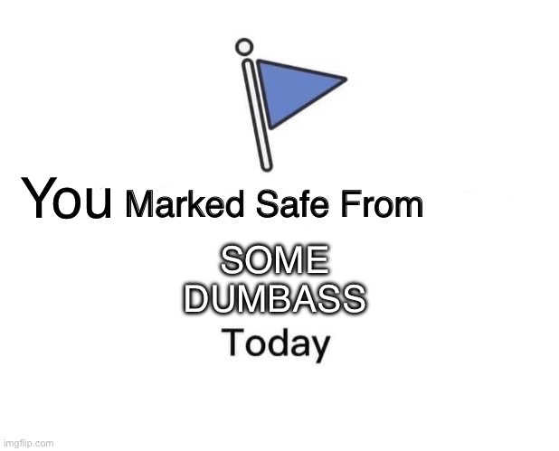 Bruh | You; SOME DUMBASS | image tagged in memes,marked safe from | made w/ Imgflip meme maker