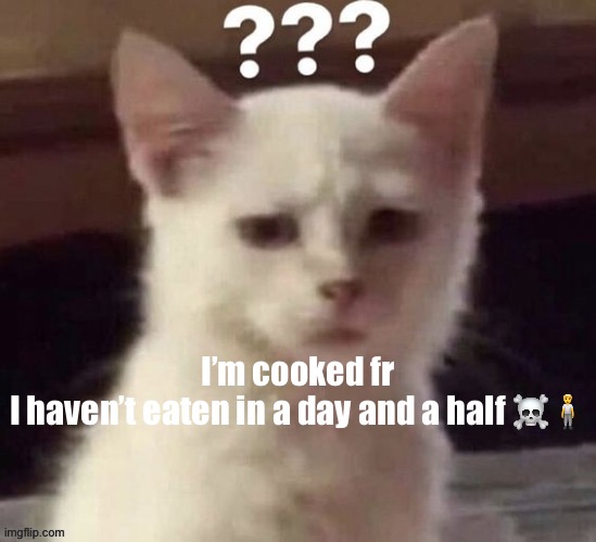 ? | I’m cooked fr
I haven’t eaten in a day and a half ☠️🧍 | made w/ Imgflip meme maker