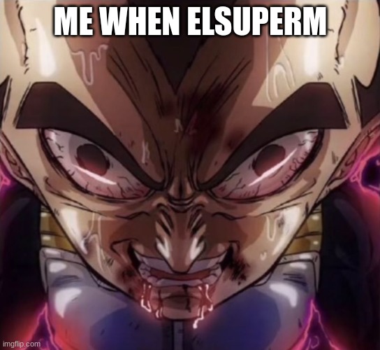 vegeta stare | ME WHEN ELSUPERM | image tagged in vegeta stare | made w/ Imgflip meme maker