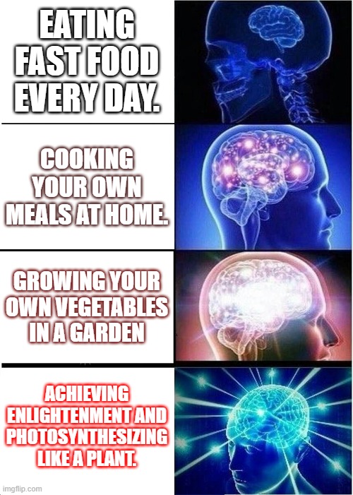 Evolution of Food | EATING FAST FOOD EVERY DAY. COOKING YOUR OWN MEALS AT HOME. GROWING YOUR OWN VEGETABLES IN A GARDEN; ACHIEVING ENLIGHTENMENT AND PHOTOSYNTHESIZING LIKE A PLANT. | image tagged in memes,expanding brain,funny,brain | made w/ Imgflip meme maker