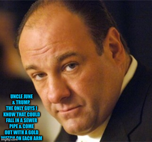 be tony soprano | UNCLE JUNE & TRUMP, 
THE ONLY GUYS I KNOW THAT COULD FALL IN A SEWER PIPE & COME OUT WITH A GOLD WATCH ON EACH ARM | image tagged in be tony soprano | made w/ Imgflip meme maker