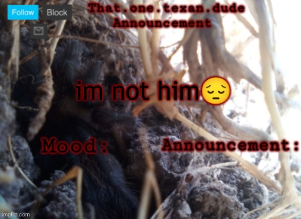 THE that.one.texan.dude announcement template | im not him😔 | image tagged in the that one texan dude announcement template | made w/ Imgflip meme maker
