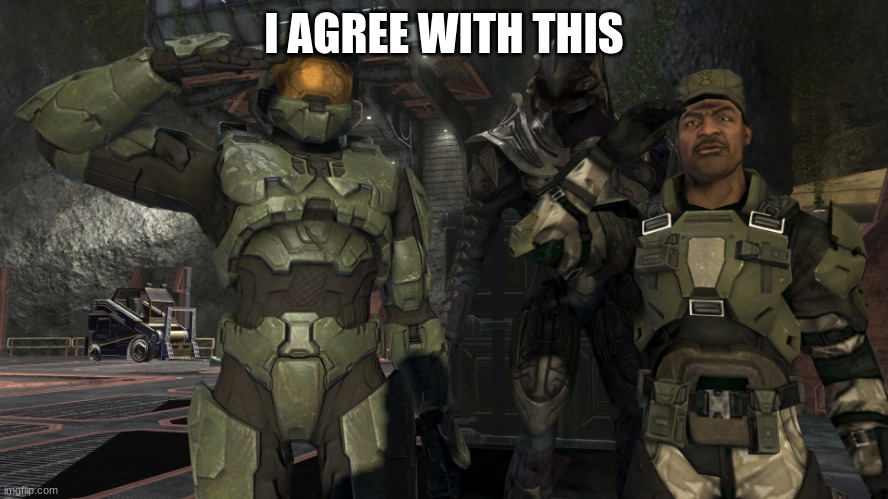 Master Chief and Sarge Salute | I AGREE WITH THIS | image tagged in master chief and sarge salute | made w/ Imgflip meme maker