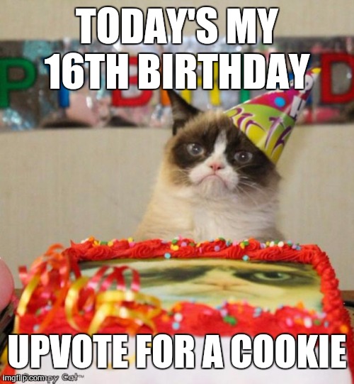 Grumpy Cat Birthday Meme | TODAY'S MY 16TH BIRTHDAY; UPVOTE FOR A COOKIE | image tagged in memes,grumpy cat birthday,grumpy cat | made w/ Imgflip meme maker