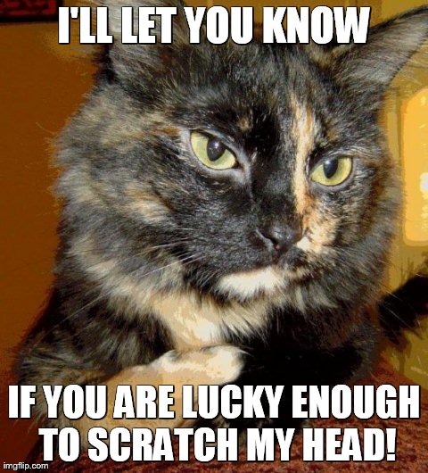 I'LL LET YOU KNOW IF YOU ARE LUCKY ENOUGH TO SCRATCH MY HEAD! | made w/ Imgflip meme maker